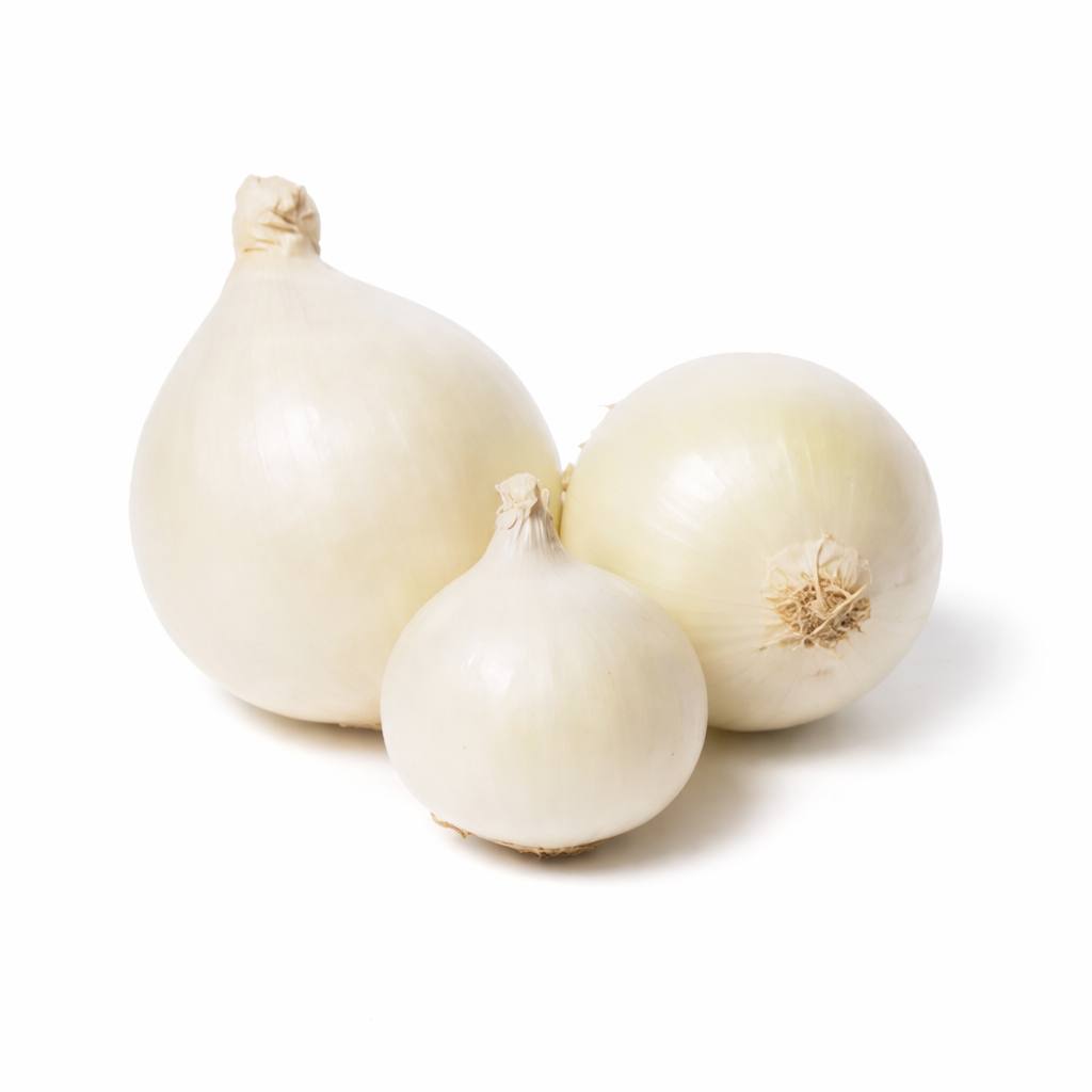 Лук репчатый белый 500g