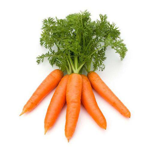 Морковь молодая